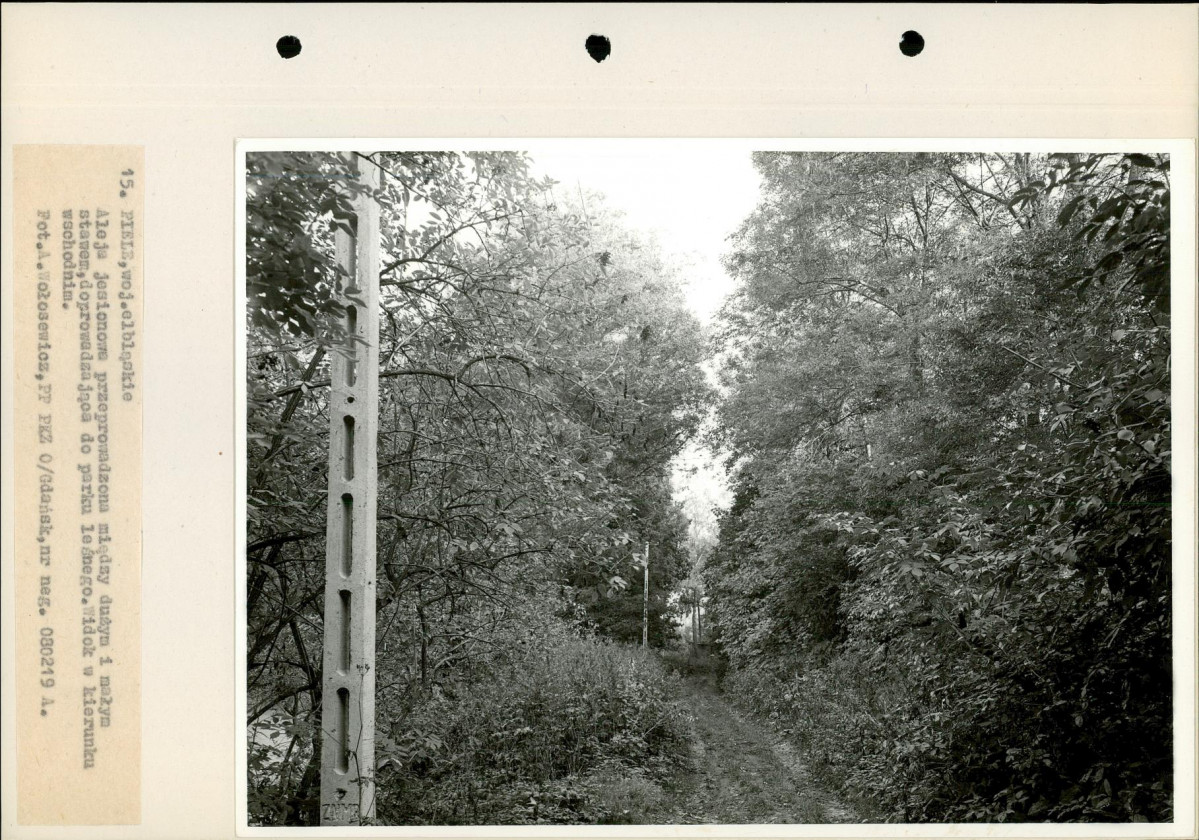 Ewidencja parkowa, skan nr 32
