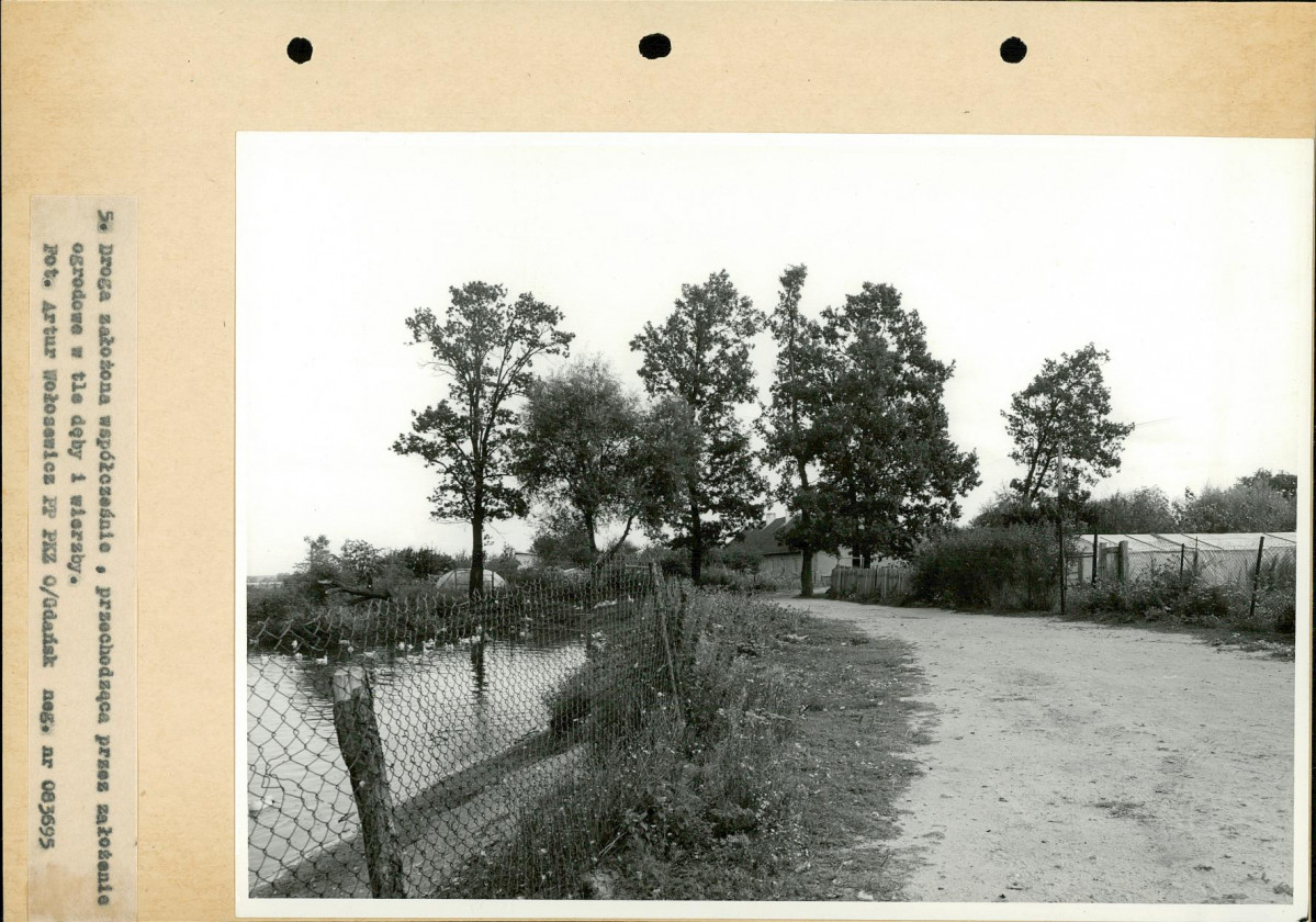 Ewidencja parkowa, skan nr 16