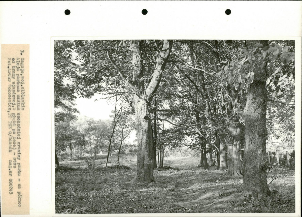 Ewidencja parkowa, skan nr 16