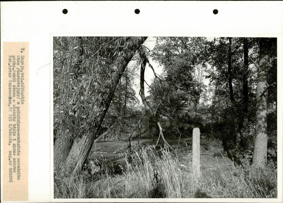 Ewidencja parkowa, skan nr 20