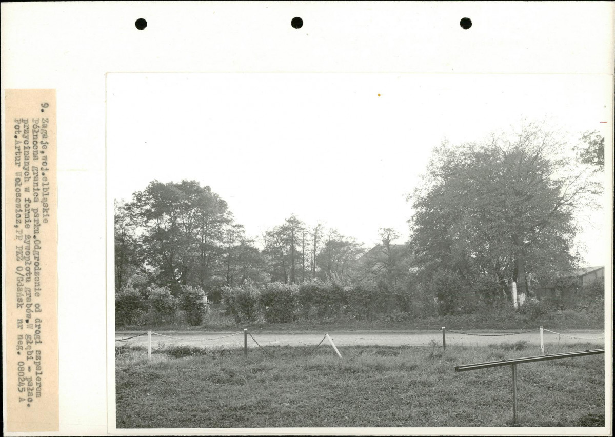 Ewidencja parkowa, skan nr 22