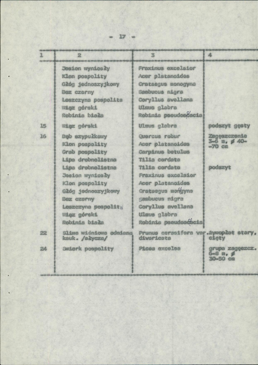 Ewidencja parkowa, skan nr 24