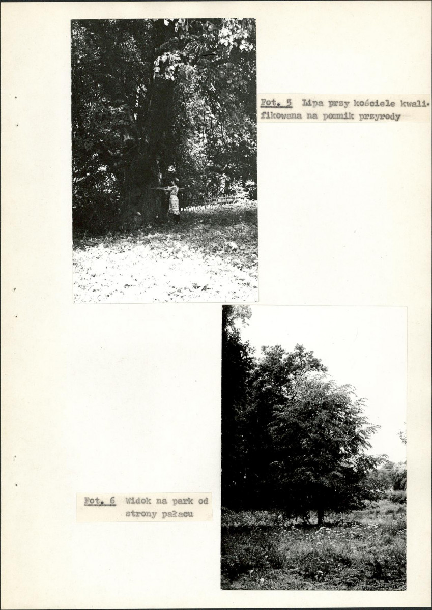 Ewidencja parkowa, skan nr 28