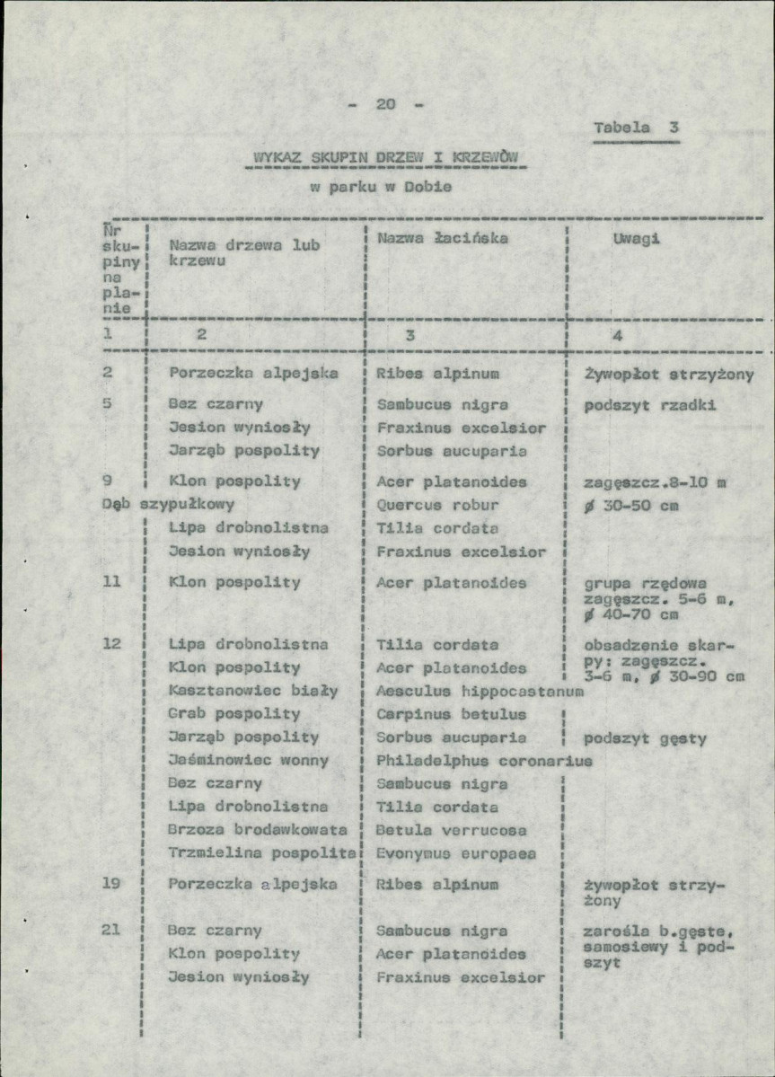 Ewidencja parkowa, skan nr 28