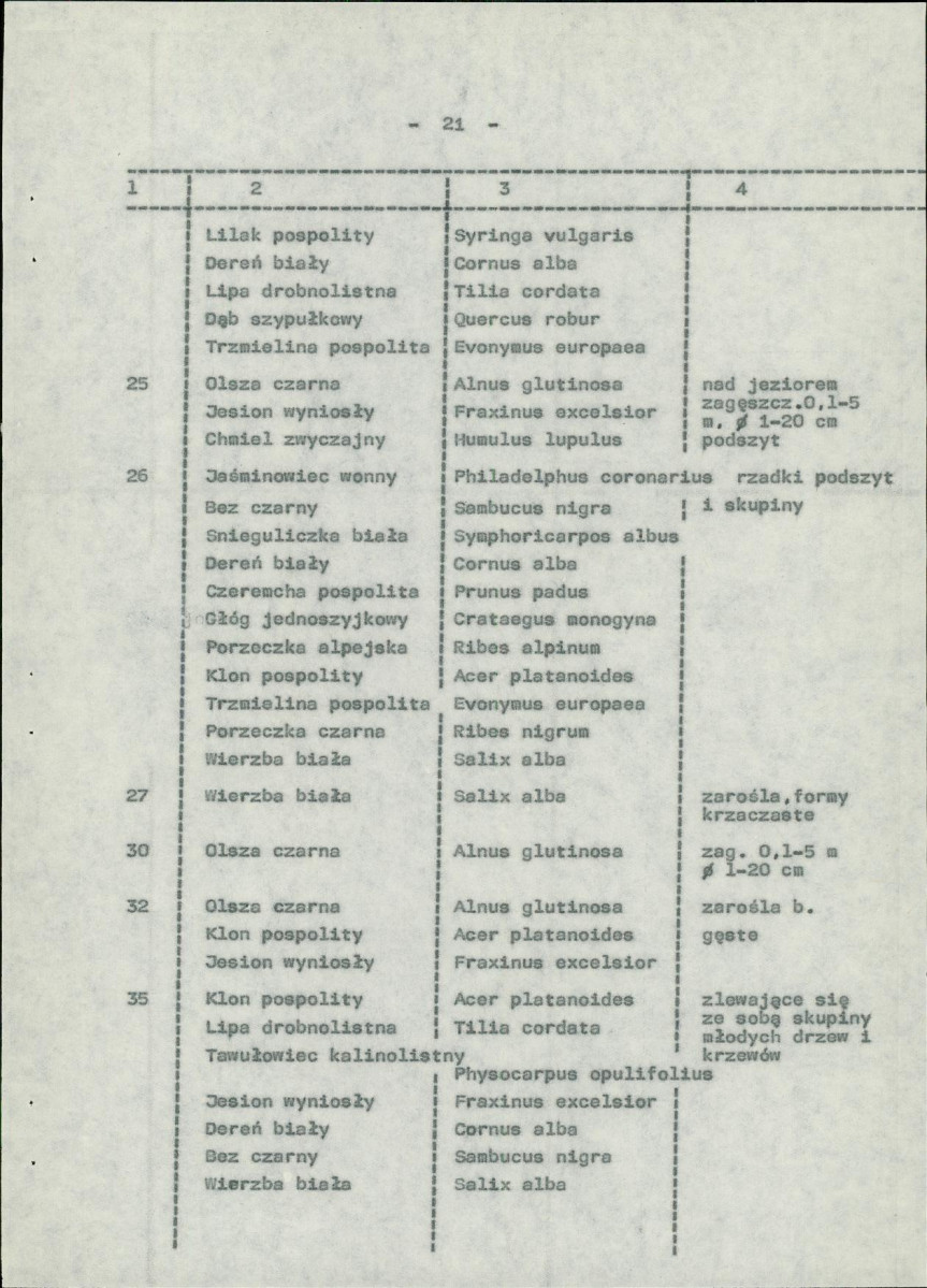 Ewidencja parkowa, skan nr 29