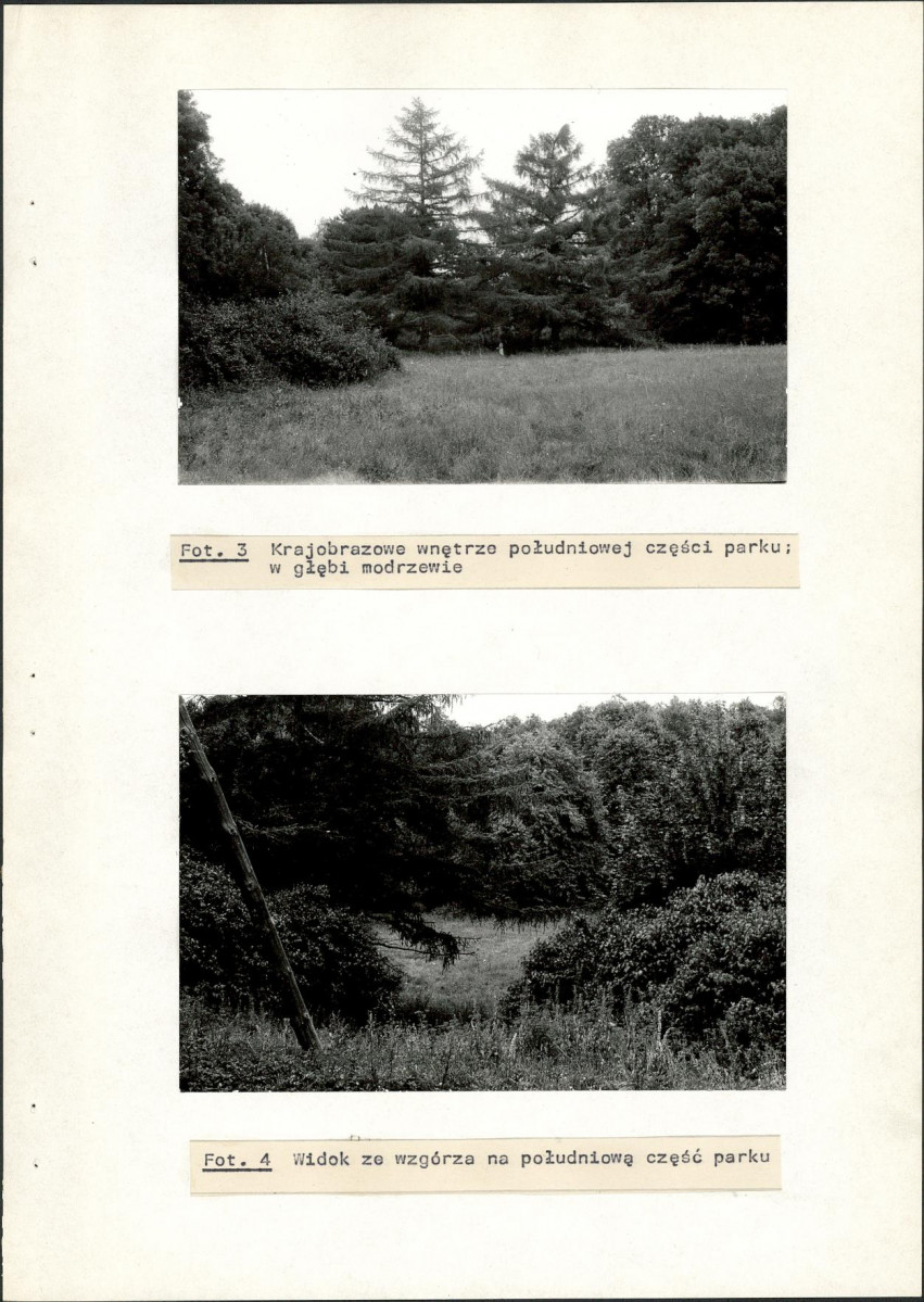 Ewidencja parkowa, skan nr 33