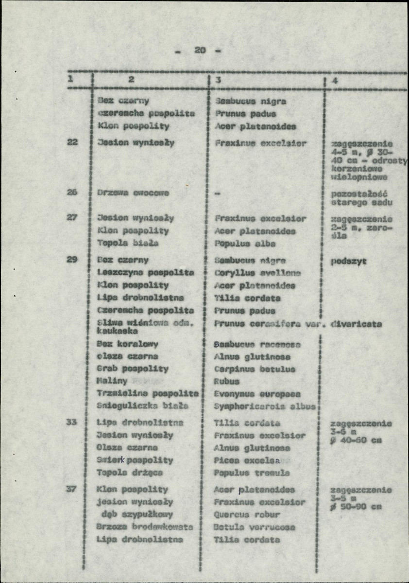 Ewidencja parkowa, skan nr 27