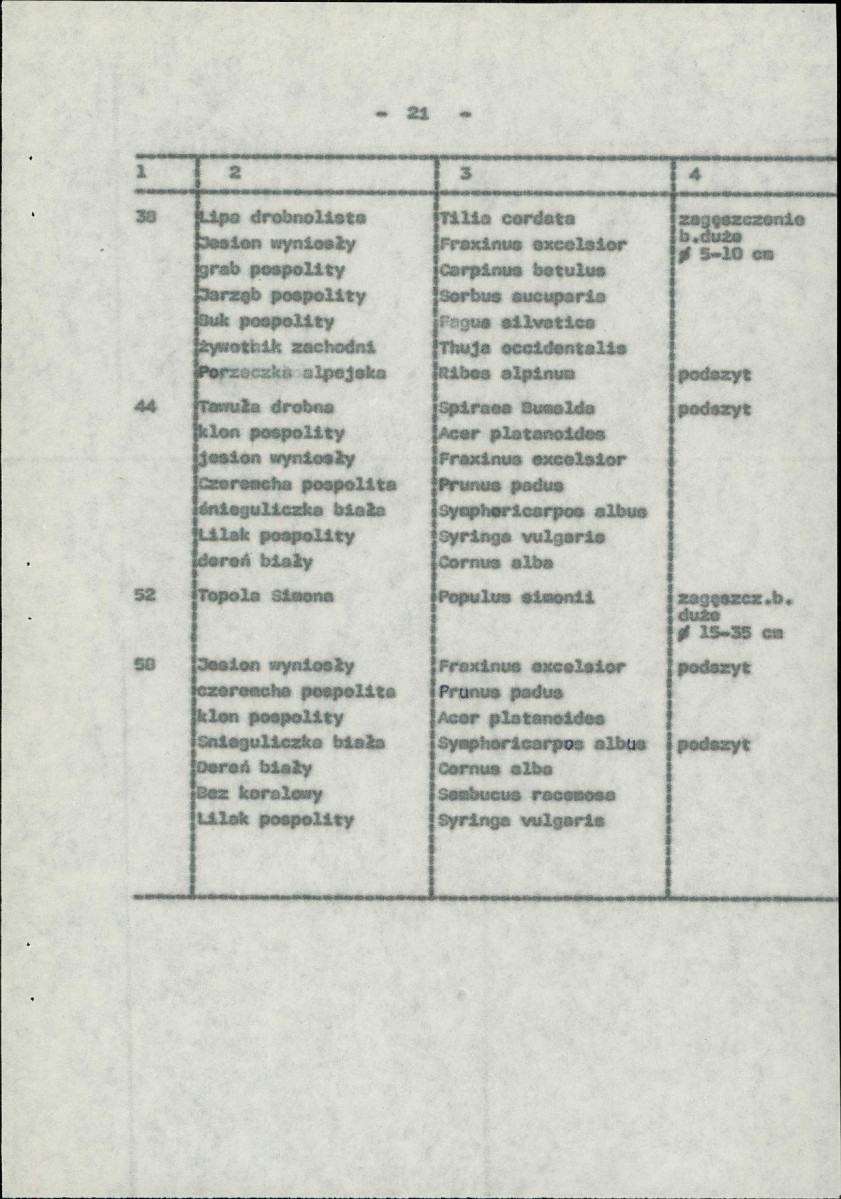 Ewidencja parkowa, skan nr 28