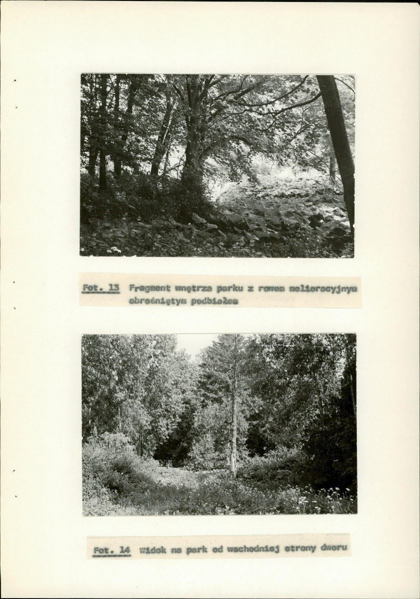 Ewidencja parkowa, skan nr 36