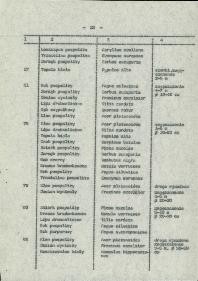 Ewidencja parkowa, skan nr 27