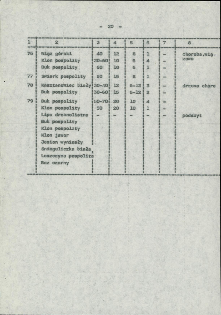 Ewidencja parkowa, skan nr 28