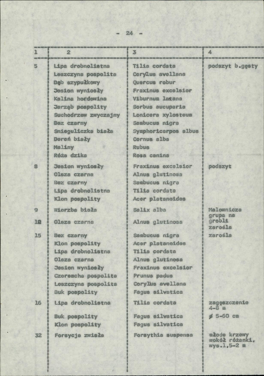 Ewidencja parkowa, skan nr 32