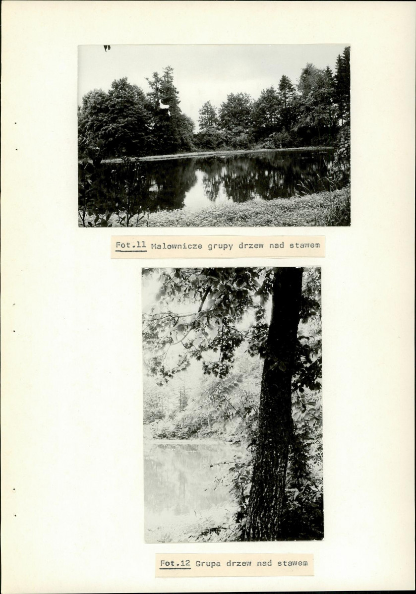 Ewidencja parkowa, skan nr 42