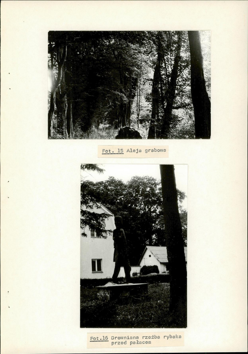 Ewidencja parkowa, skan nr 44
