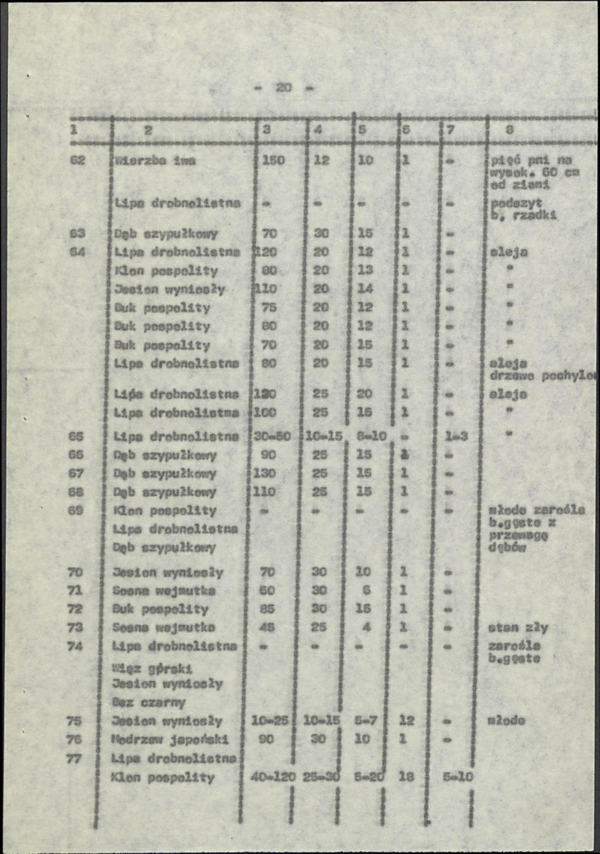 Ewidencja parkowa, skan nr 27