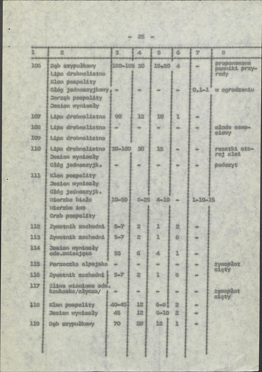 Ewidencja parkowa, skan nr 32