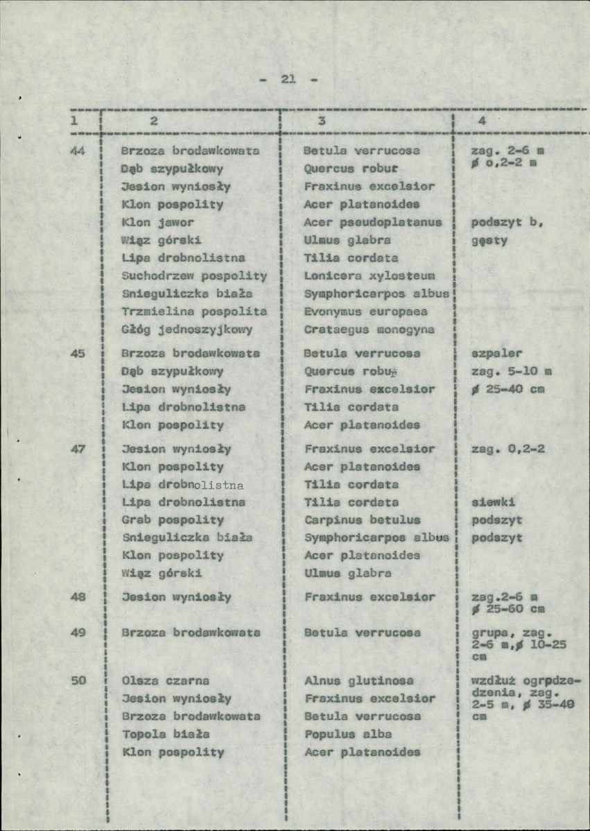 Ewidencja parkowa, skan nr 28
