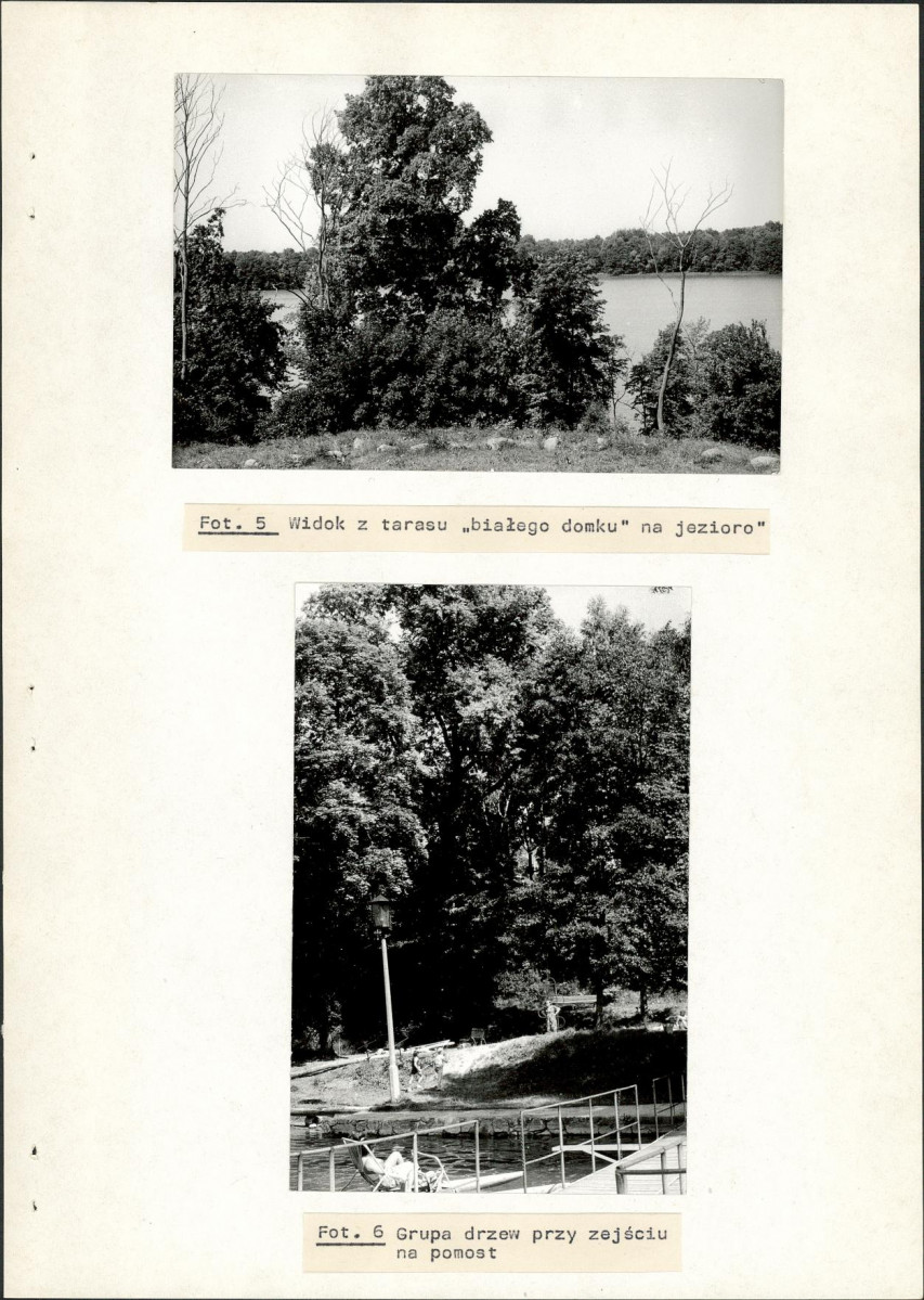 Ewidencja parkowa, skan nr 33