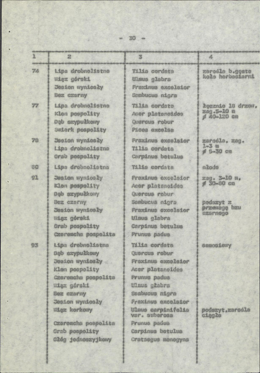 Ewidencja parkowa, skan nr 37