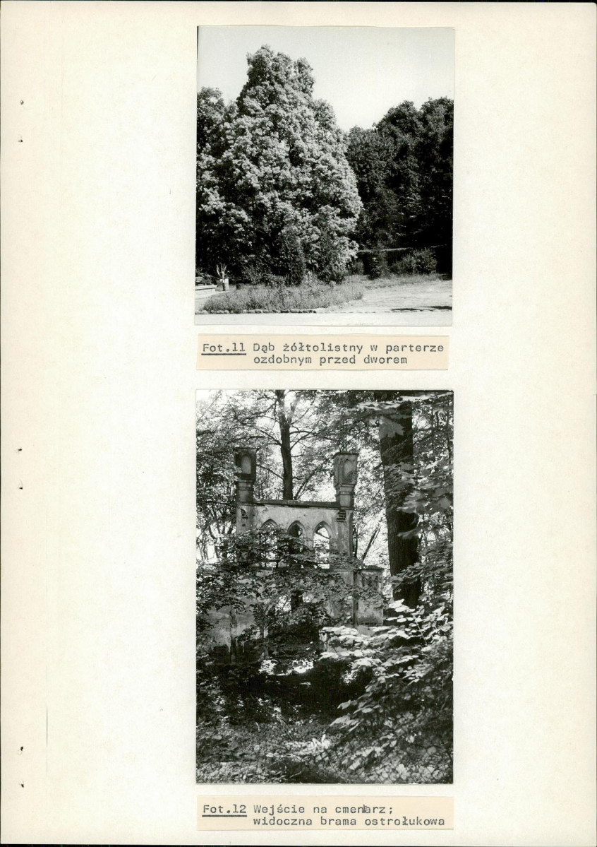 Ewidencja parkowa, skan nr 36