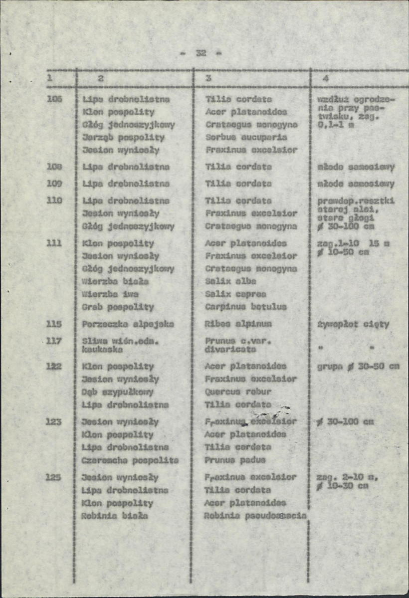 Ewidencja parkowa, skan nr 39