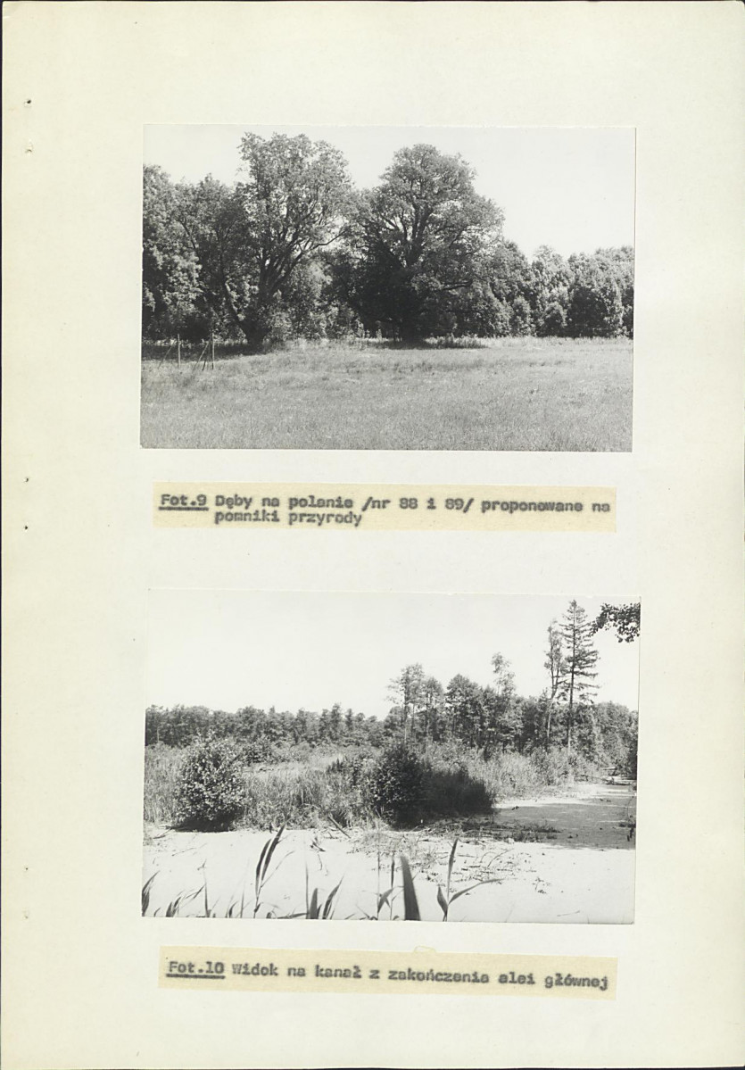 Ewidencja parkowa, skan nr 46