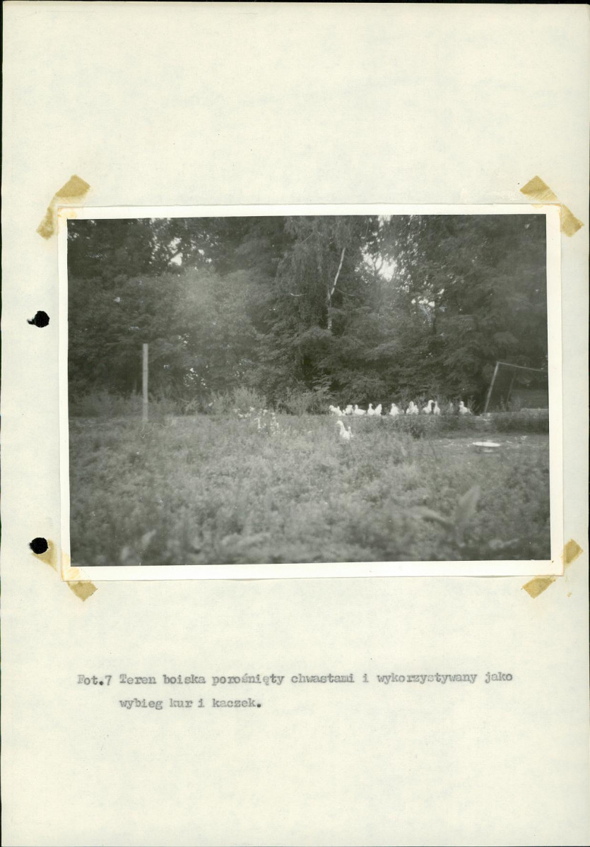 Ewidencja parkowa, skan nr 31