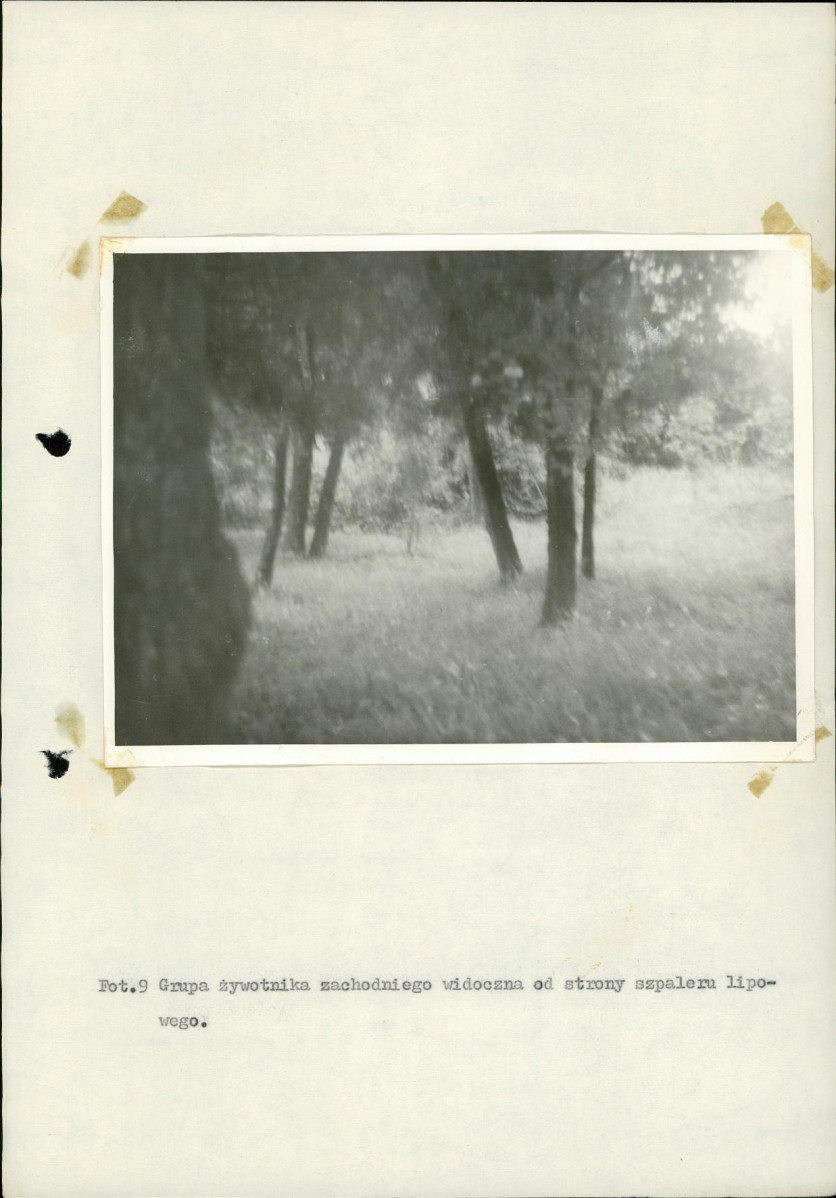Ewidencja parkowa, skan nr 33