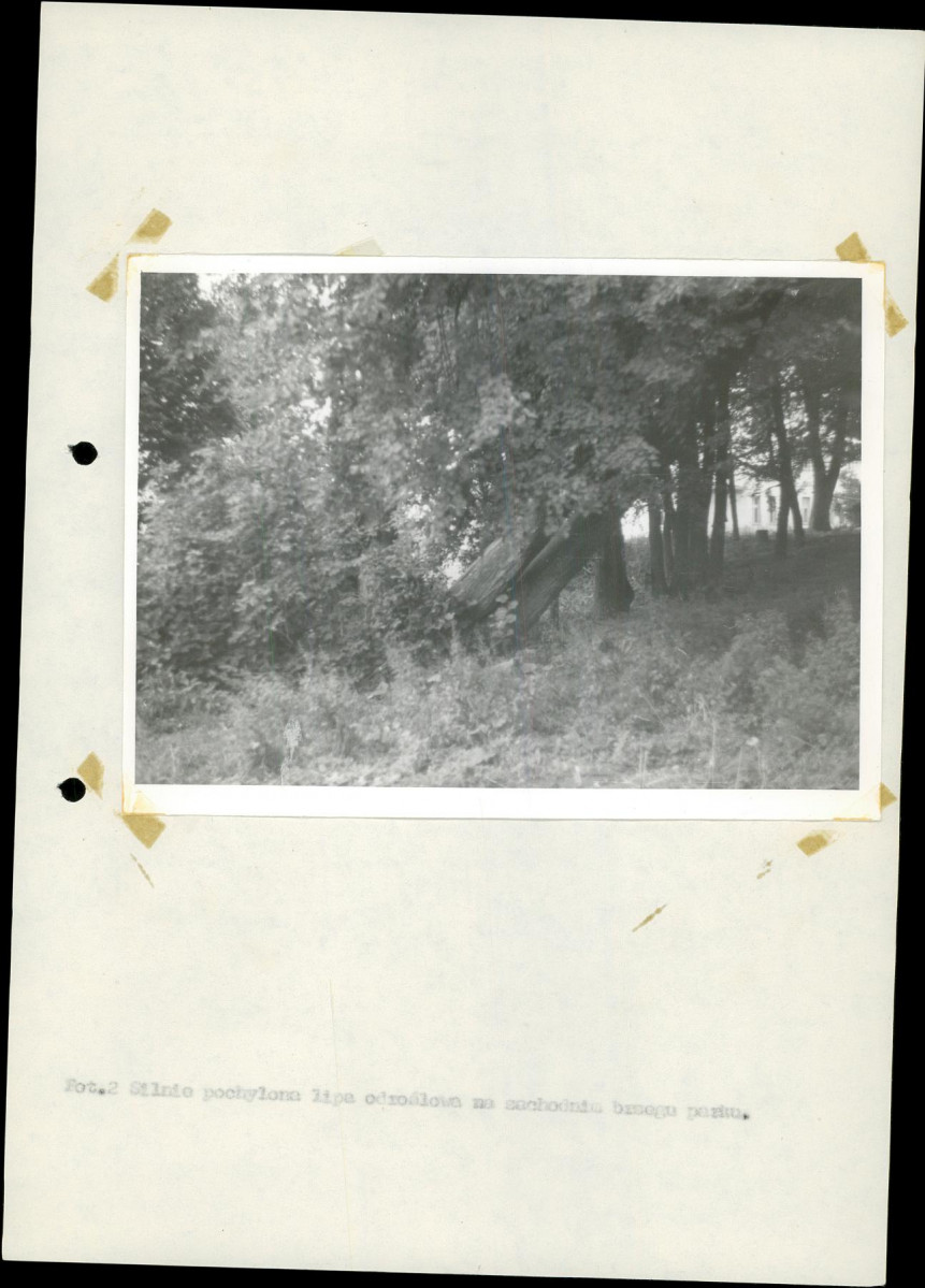 Ewidencja parkowa, skan nr 25