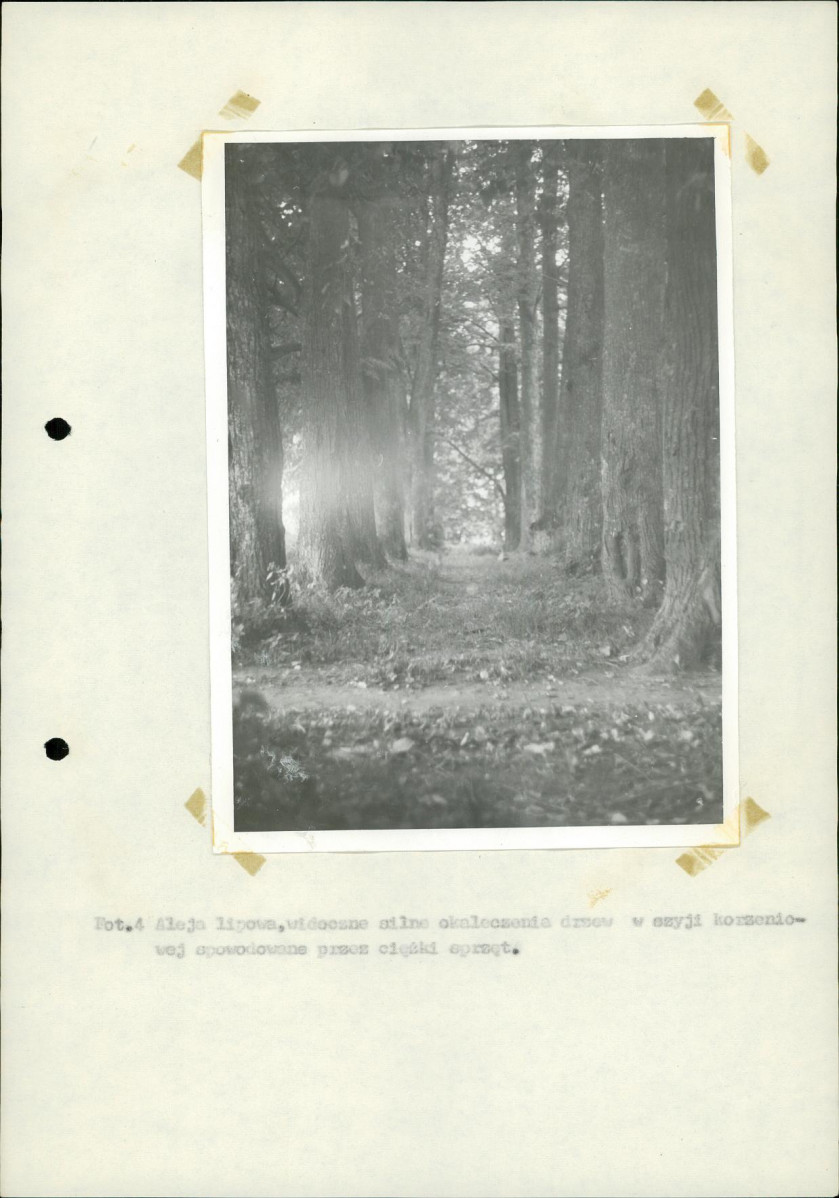 Ewidencja parkowa, skan nr 27