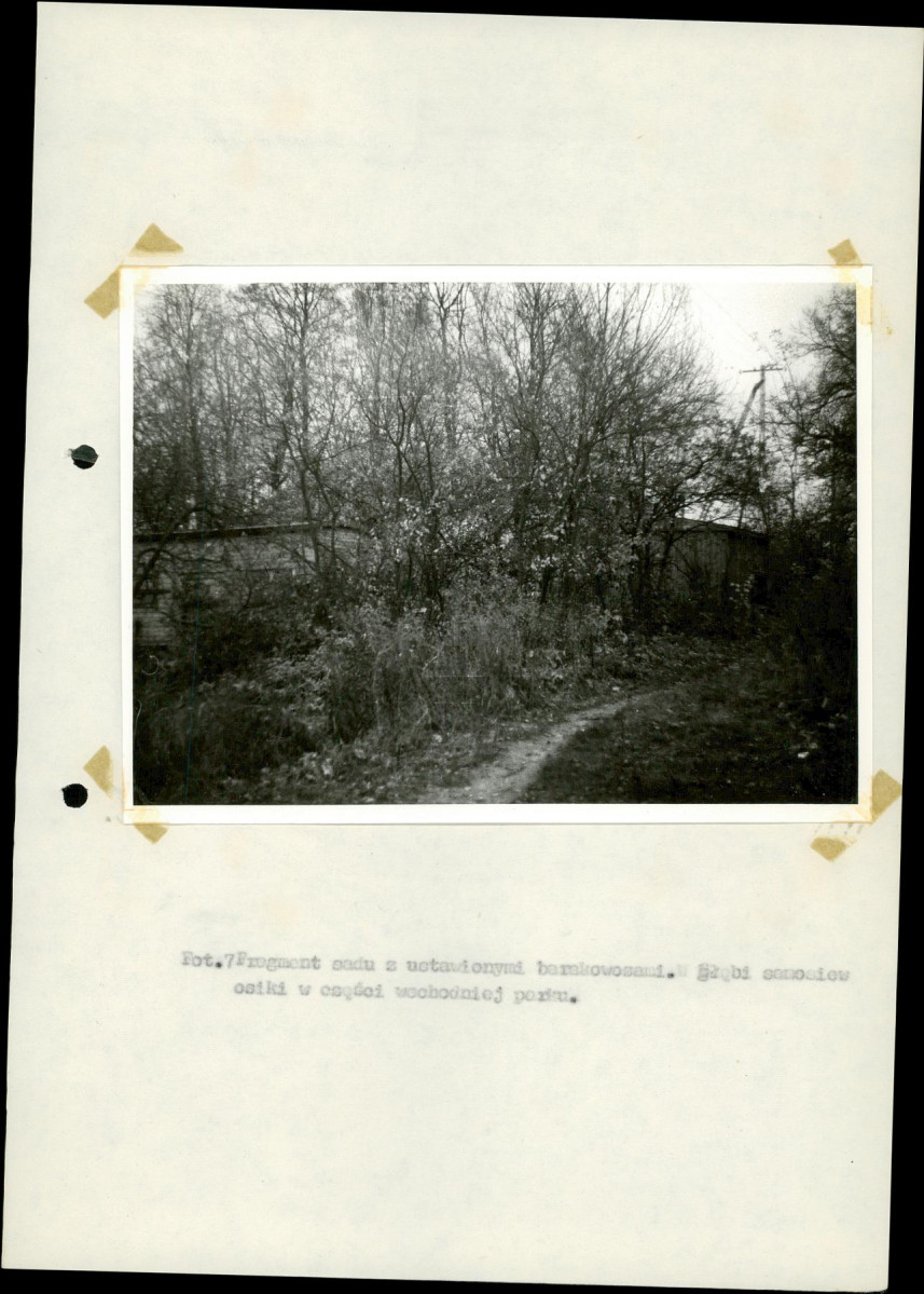 Ewidencja parkowa, skan nr 29