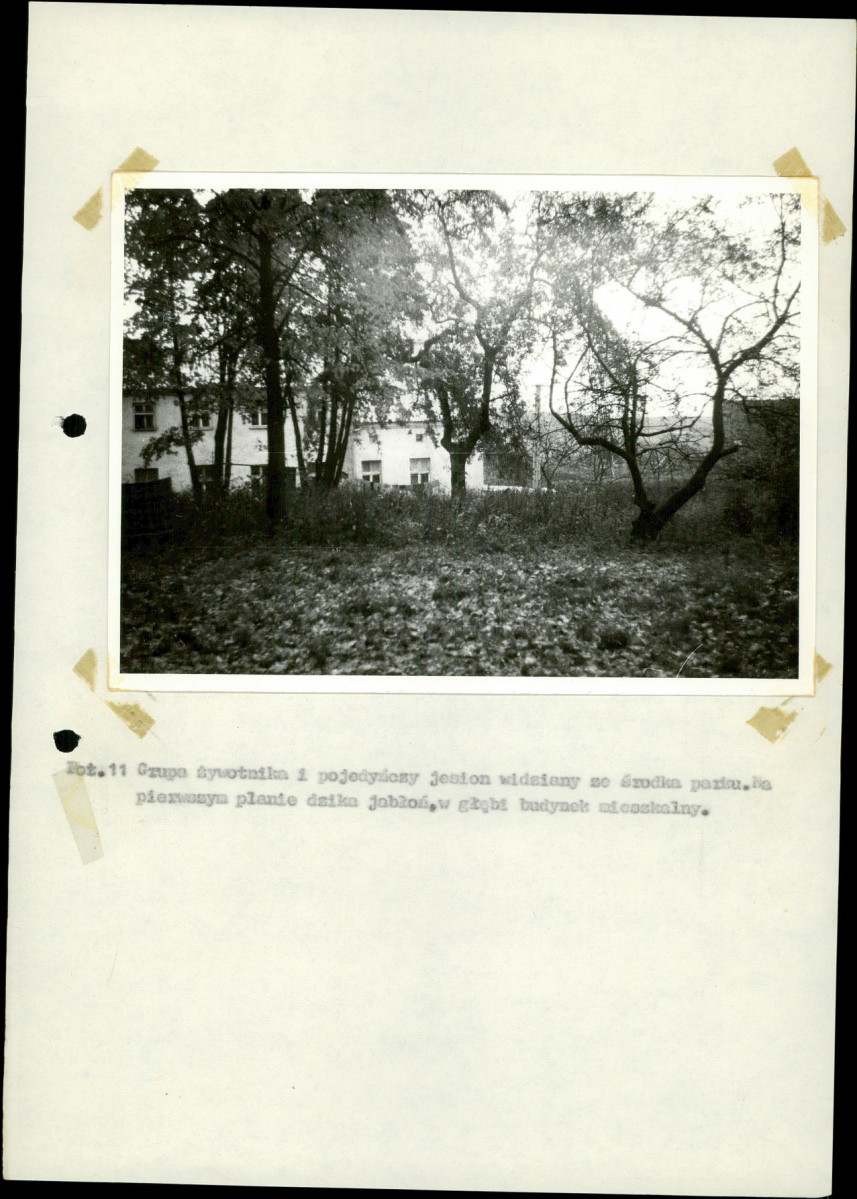 Ewidencja parkowa, skan nr 33