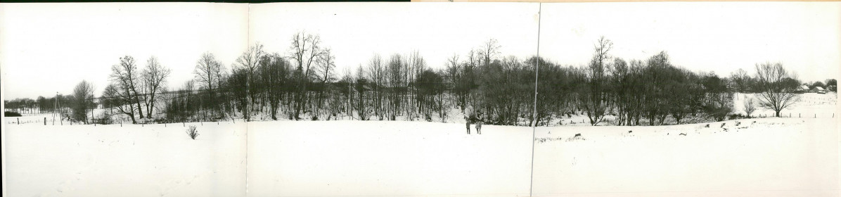 Ewidencja parkowa, skan nr 24