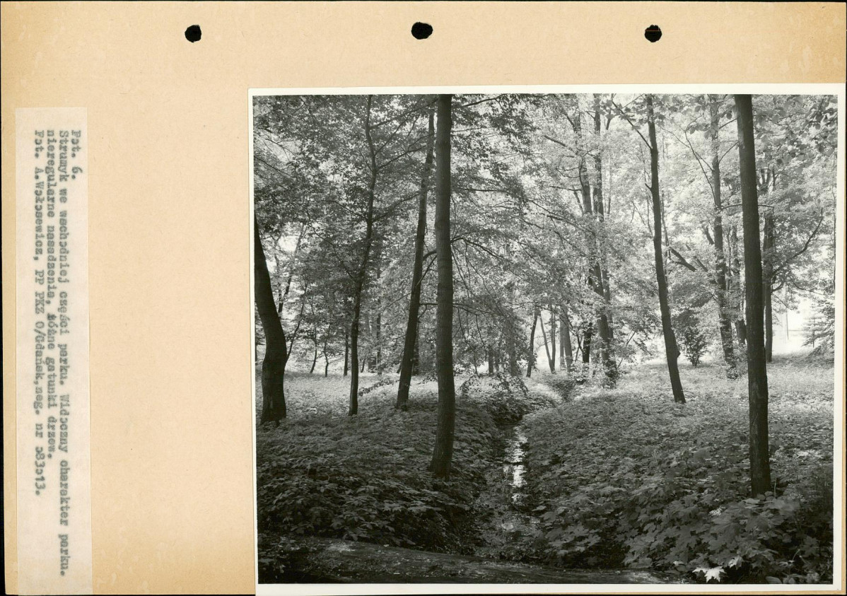 Ewidencja parkowa, skan nr 24