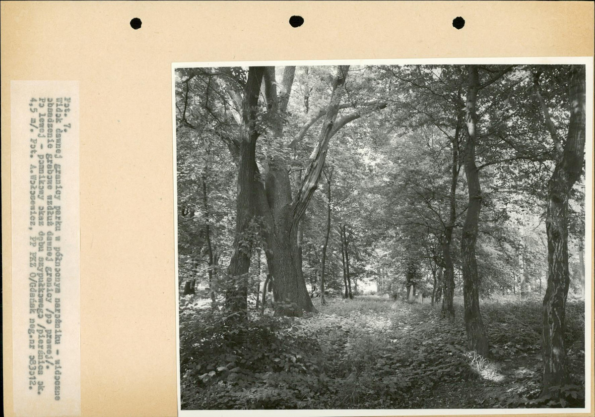Ewidencja parkowa, skan nr 25
