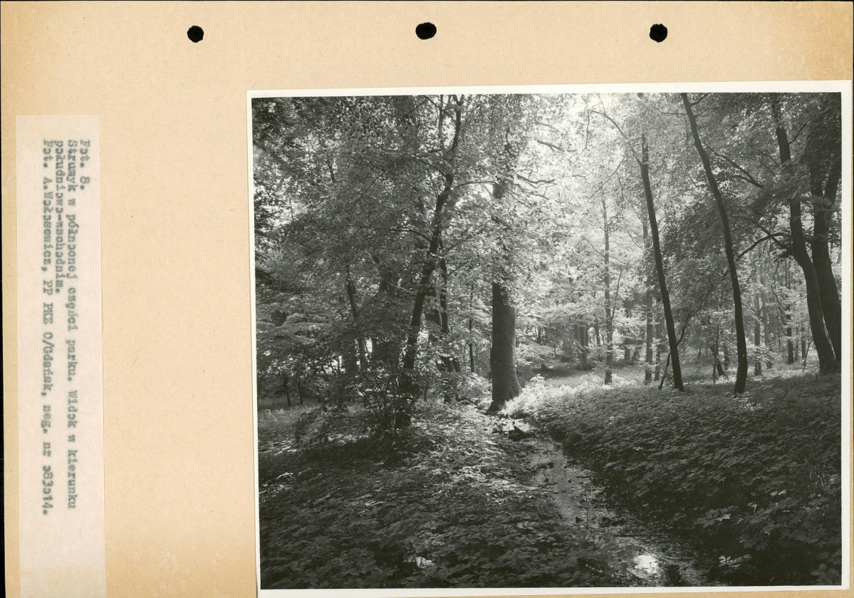 Ewidencja parkowa, skan nr 26
