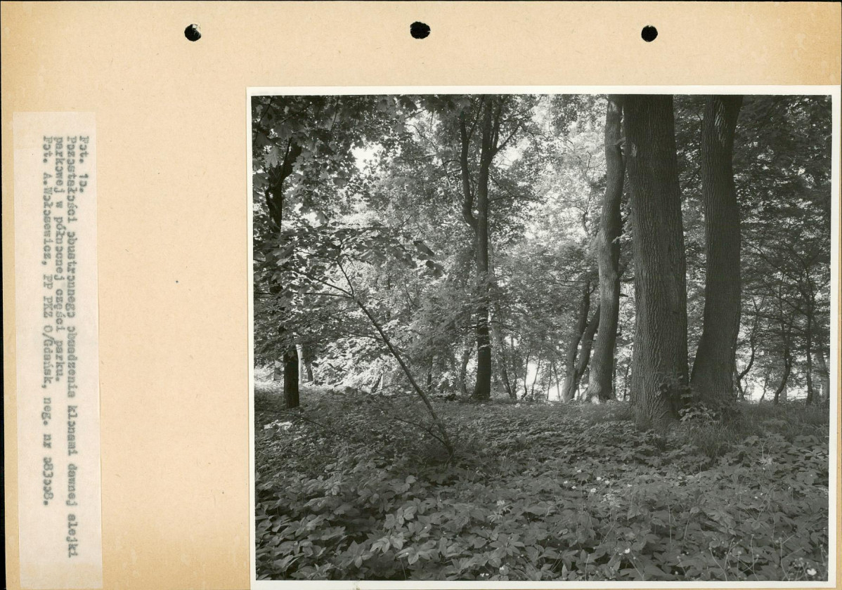 Ewidencja parkowa, skan nr 28