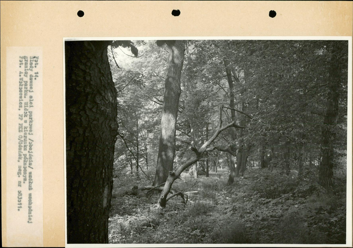 Ewidencja parkowa, skan nr 32
