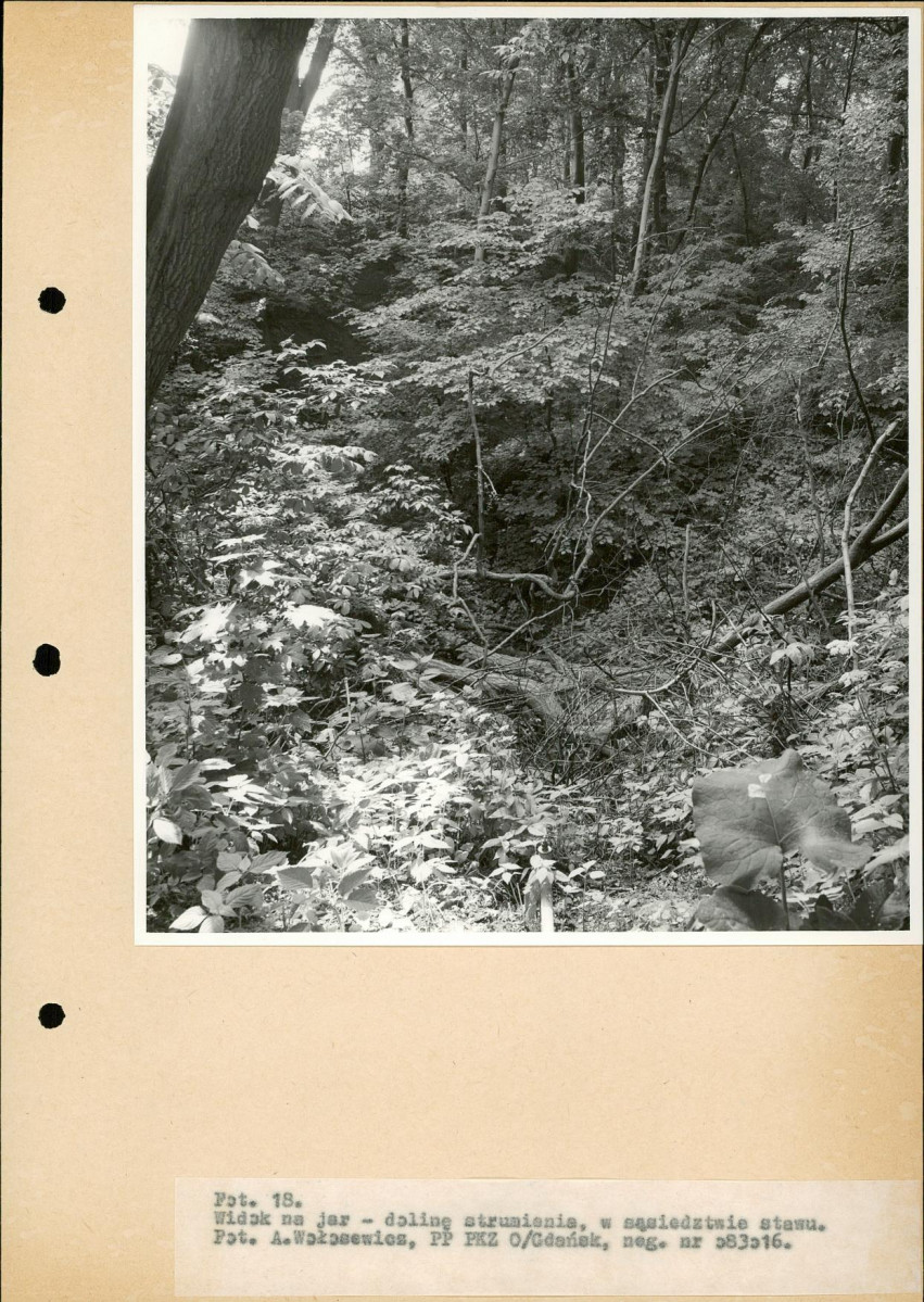 Ewidencja parkowa, skan nr 36