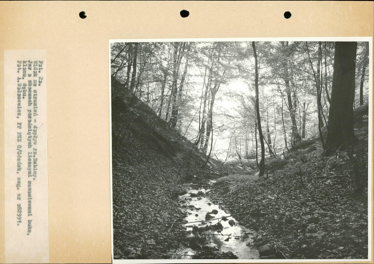 Ewidencja parkowa, skan nr 38