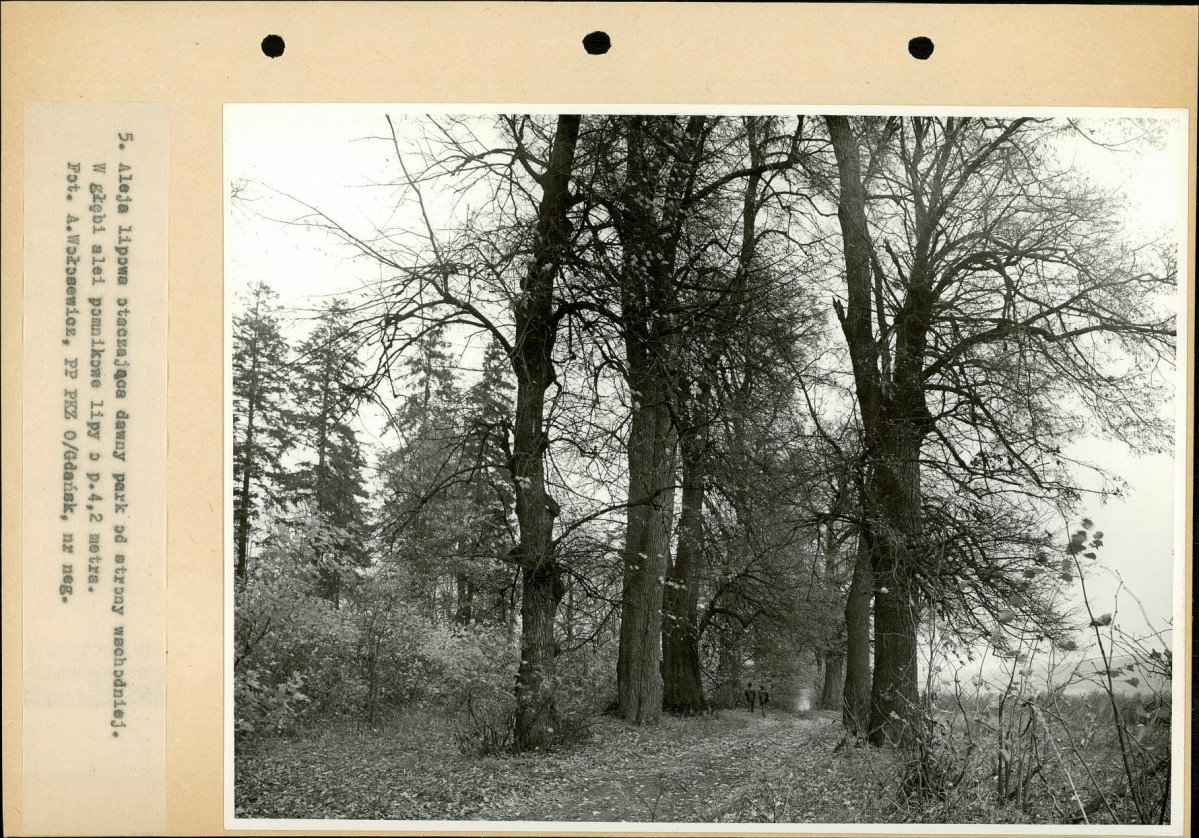Ewidencja parkowa, skan nr 23