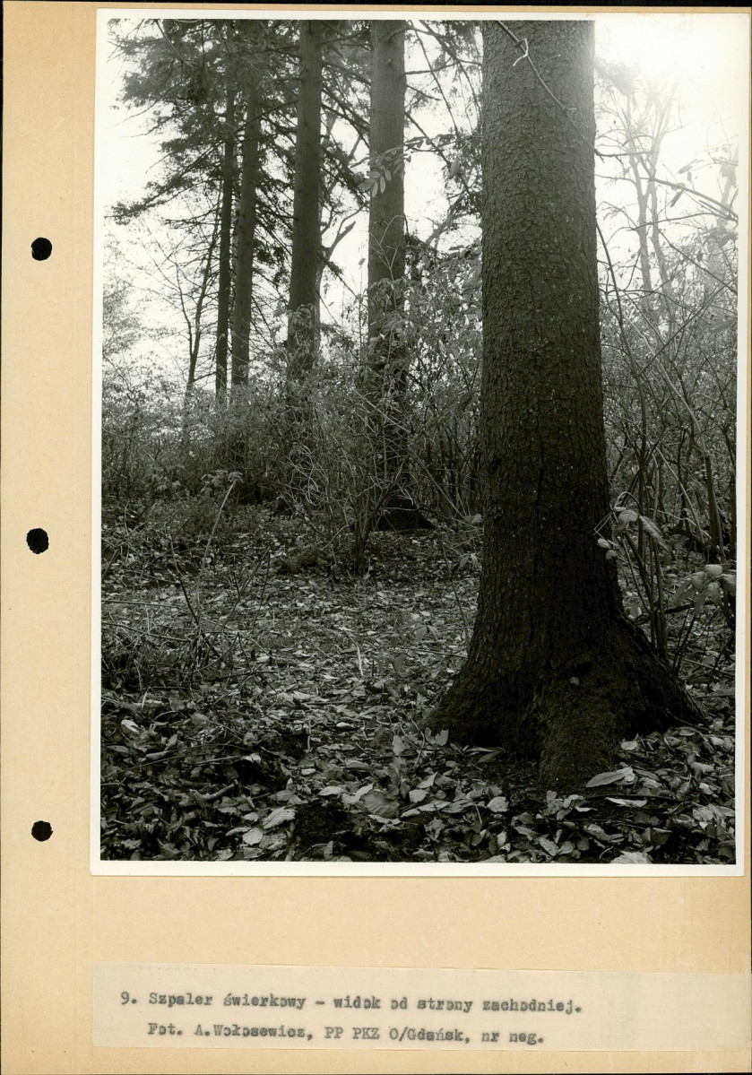 Ewidencja parkowa, skan nr 27
