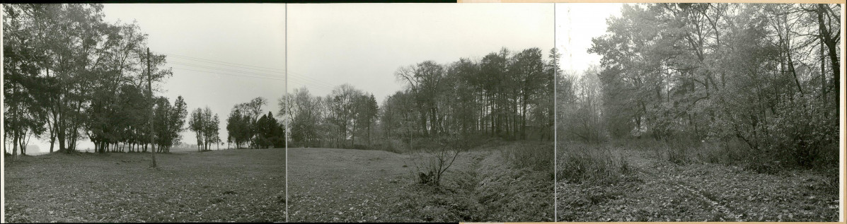 Ewidencja parkowa, skan nr 20