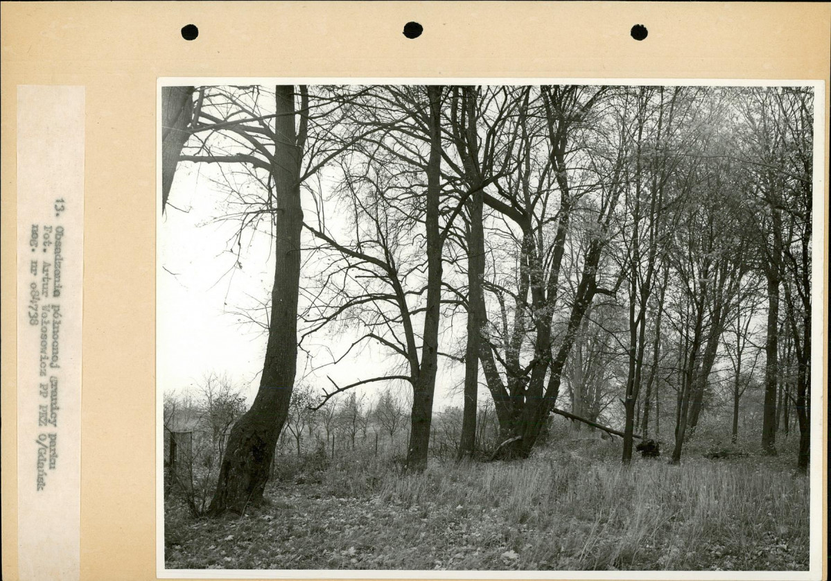Ewidencja parkowa, skan nr 29