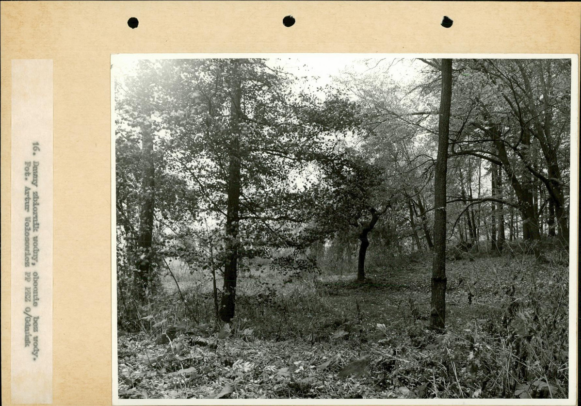 Ewidencja parkowa, skan nr 32