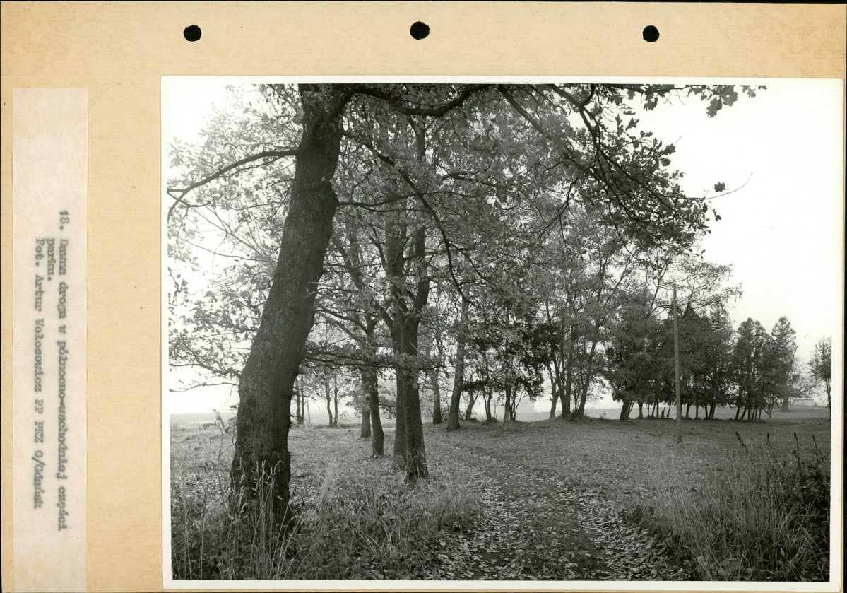 Ewidencja parkowa, skan nr 34