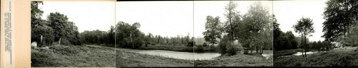 Ewidencja parkowa, skan nr 34