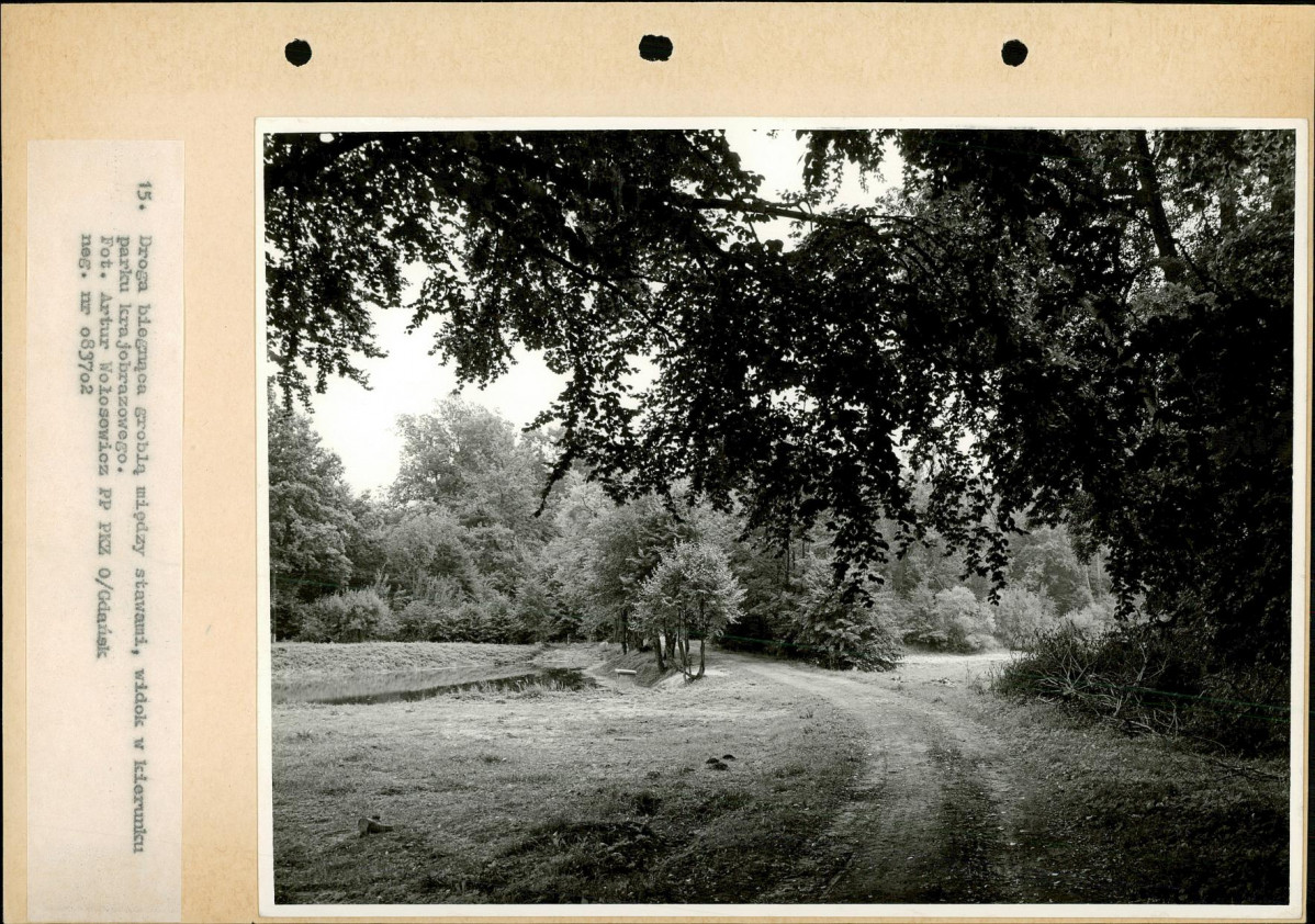 Ewidencja parkowa, skan nr 38
