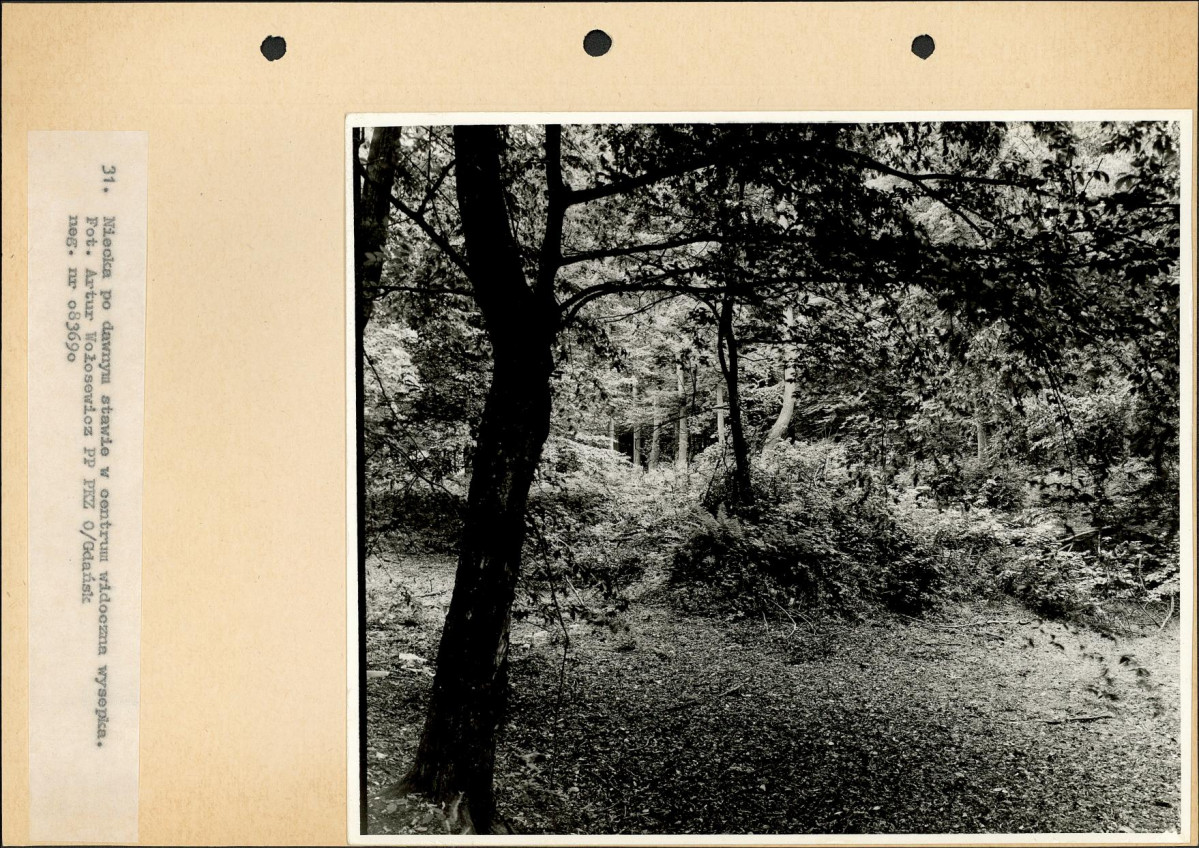 Ewidencja parkowa, skan nr 54