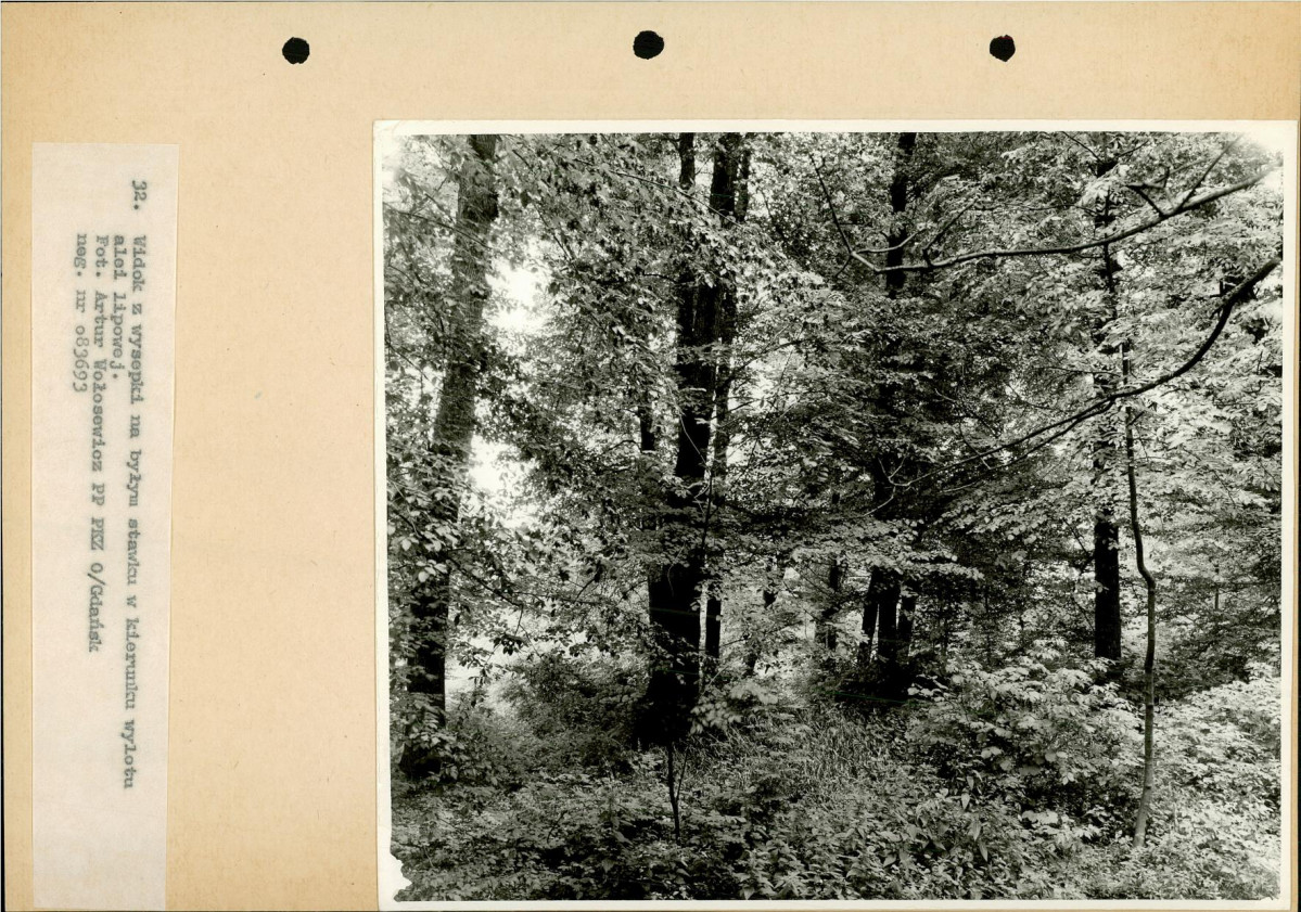 Ewidencja parkowa, skan nr 55